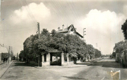 91* YERRES  Les «  Camaldules»  (CPSM 9x14cm)        RL28,1900 - Yerres