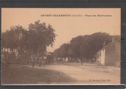 21 - GEVREY CHAMBERTIN - Place Des Marronniers - Gevrey Chambertin
