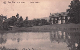 Wanze - BAS OHA - Chateau Lamalle - Wanze