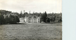 14* PONT L EVEQUE  Chateau De Betteville  CPSM (format 9x14cm)       RL39.0823 - Pont-l'Evèque