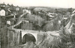 19* TREIGNAC Le Pont Finot   CPSM (format 9x14cm)      RL39.1146 - Treignac