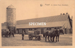 St. Isidorus Hoeve  Boerenbond - Poppel - Ranst