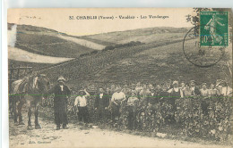 33447 - CHABLIS - VAUDESIR LES VENDANGES - Chablis