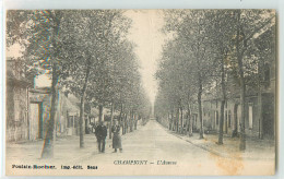 33404 - CHAMPIGNY SUR YONNE - L AVENUE - Champigny