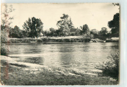 33390 - CHAMPIGNY SUR YONNE - CPSM - L YONNE AU HAMEAU DE LA TUILERIE - Champigny