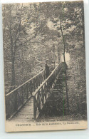 37606 - CHAOURCE - BOIS DE LA CORDELLIERE / LA PASSERELLE - Chaource