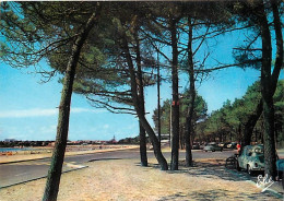 Automobiles - Saint Georges De Didonne - La Grande Plage Et La Ville à Travers Les Pins - CPM - Carte Neuve - Voir Scans - Turismo