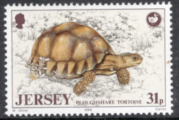 Jersey 1984 Single Stamp From Animal Protection Set In Unmounted Mint - Jersey