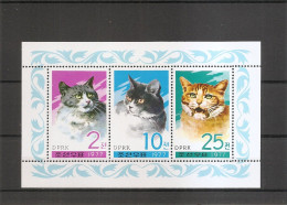 Corée Du Nord - Chats ( 1659/1661 En Feuillet XXX -MNH ) - Korea (Nord-)