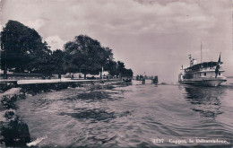 Coppet VD, Le Débarcadère Et Bateau à Vapeur (3237) - Coppet