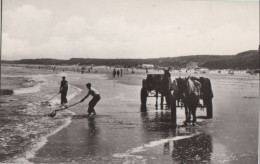 84287 - Niederlande - Den Haag, Scheveningen - Schelpenvissers - Ca. 1960 - Scheveningen