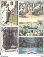 L'héritage Européen ROME Série 10 Complète  : 46-50 - Artis Historia