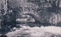 Montricher VD, Vieux Pont Sur La Malagne (525) - Montricher