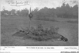 AIVP2-0183 - MILITARIA - SUR LA TOMBE DE SES AMIS - LE CHIEN FIDELE  - Cementerios De Los Caídos De Guerra