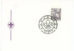 SC 42 - 1006 Scout AUSTRIA - Cover - Used - 1970 - Storia Postale