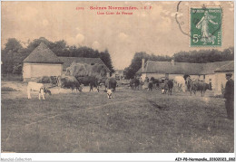 AIYP8-NORMANDIE-0717 - SCENES NORMANDES - Une Cour De Ferme - Basse-Normandie