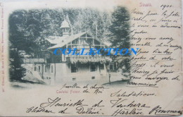 SINAIA 1901, Castelul FOISOR, Clasica Cu Timbru HARLAU ( Castelul DELENI ) - Rumänien