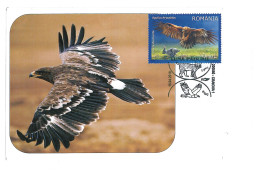 MAX 35 - 236 EAGLE, Romania - Maximum Card - 2010 - Águilas & Aves De Presa