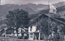 Les Diablerets VD, Hôtel Du Chamois (621) - Les Diablerets