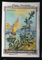 Nestlé - 117 - Plantes Aromatiques, Aromatic Plants - 2 - Romarin, Rosemary - Nestlé