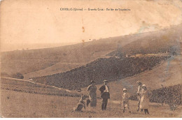 89 - Chablis - SAN21209 - Grands Crus - Vallée De Vaudésirs - En L'état - Chablis