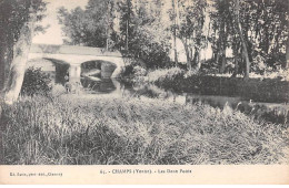 89 - CHAMPS - SAN33738 - Les Deux Ponts - Champs Sur Yonne