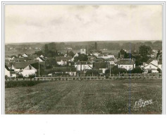 89.MONETEAU.PANORAMA.CPSM - Moneteau