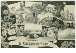89.CHAMPIGNY SUR YONNE.n°29858.SOUVENIR - Champigny