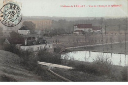 89 - N°74535 - Château De TANLAY - Vue De L'Abbaye De Quincy - Tanlay