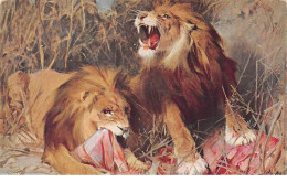 Animaux - N°69913 - Lions Mangeant - Leones