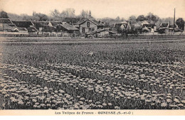 95 - N°75601 - GONESSE - Les Tulipes De France - Gonesse