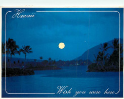 Etats Unis - Hawaï - Full Moon - Pleine Lune - Etat De Hawaï - Hawaï State - CPM - Voir Timbre - Voir Scans Recto-Verso - Autres & Non Classés