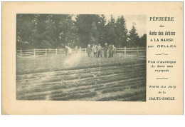 AGRICULTURE.n°27190.PEPINIERE DES AMIS DES ARBRES A LA NARSE PAR GELLES.VISITE DU JURY DE LA HAUTE SIOULE - Cultures