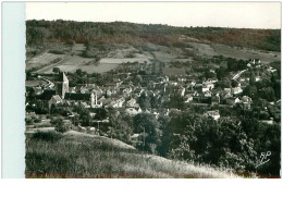 95.VETHEUIL.n°26547.PANORAMA.CPSM - Vetheuil