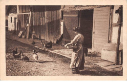 Agriculture - N°77655 - Jeune Fille Nourrissant Des Poules - Fermes