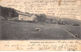 68 - SAINTE MARIE AUX MINES - SAN32402 - Schafhaus Und Brezouard - Sainte-Marie-aux-Mines