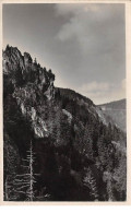 68. MUNSTER - N°68683 - La Vallée De Munster - Au Sentier Des Roches - C. Tugler - Carte Photo - Munster