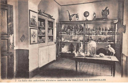 68 - GUEBWILLER - SAN34850 - Salle Des Collections D'histoire Naturelle Du Collège - Guebwiller