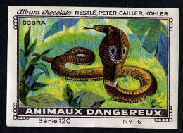 Nestlé - 120 - Animaux Dangereux, Dangerous Animals - 6 - Cobra - Nestlé