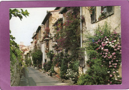 06 ANTIBES La Rue Du Haut Castelet - Antibes - Old Town