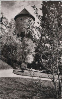 72404 - Überlingen - Stadtgarten Mit Gallerturm - 1965 - Überlingen