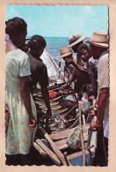 19916 / ⭐ Antilles CARAIBES CARIBBEAN Native Fish Market Marché Aux Poissons Indigène 1960s- DEXTER USA 78439 - Sonstige & Ohne Zuordnung