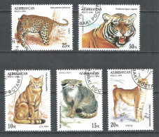 Azerbaijan 1994 Year, Used Stamps (o) Set Wild Cats  - Azerbaiján