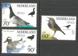 NETHERLANDS 1994 Year , Mint Stamps MNH (**)  Birds - Unused Stamps