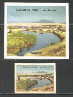 UdSSR Russia 2 Old Export Matchbox Labels Tunisia  - Boites D'allumettes - Etiquettes