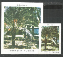 UdSSR Russia 2 Old Export Matchbox Labels Tunisia  - Boites D'allumettes - Etiquettes