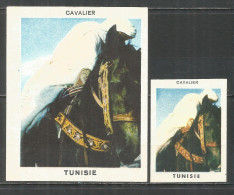 UdSSR Russia 2 Old Export Matchbox Labels Tunisia Horses - Boites D'allumettes - Etiquettes