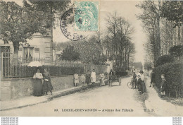 LIMEIL BREVANNES AVENUE DES TILLEULS - Limeil Brevannes