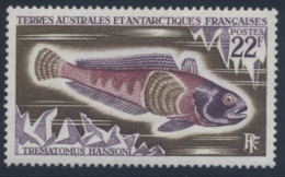 TAAF  1972  N° YT 43  NEUF **  COTE : 5.50 €   POISSONS - Nuevos