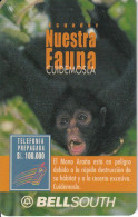 TARJETA DE ECUADOR DE UN MONO ARAÑA (MONKEY) VALIDEZ 45 DIAS - Ecuador